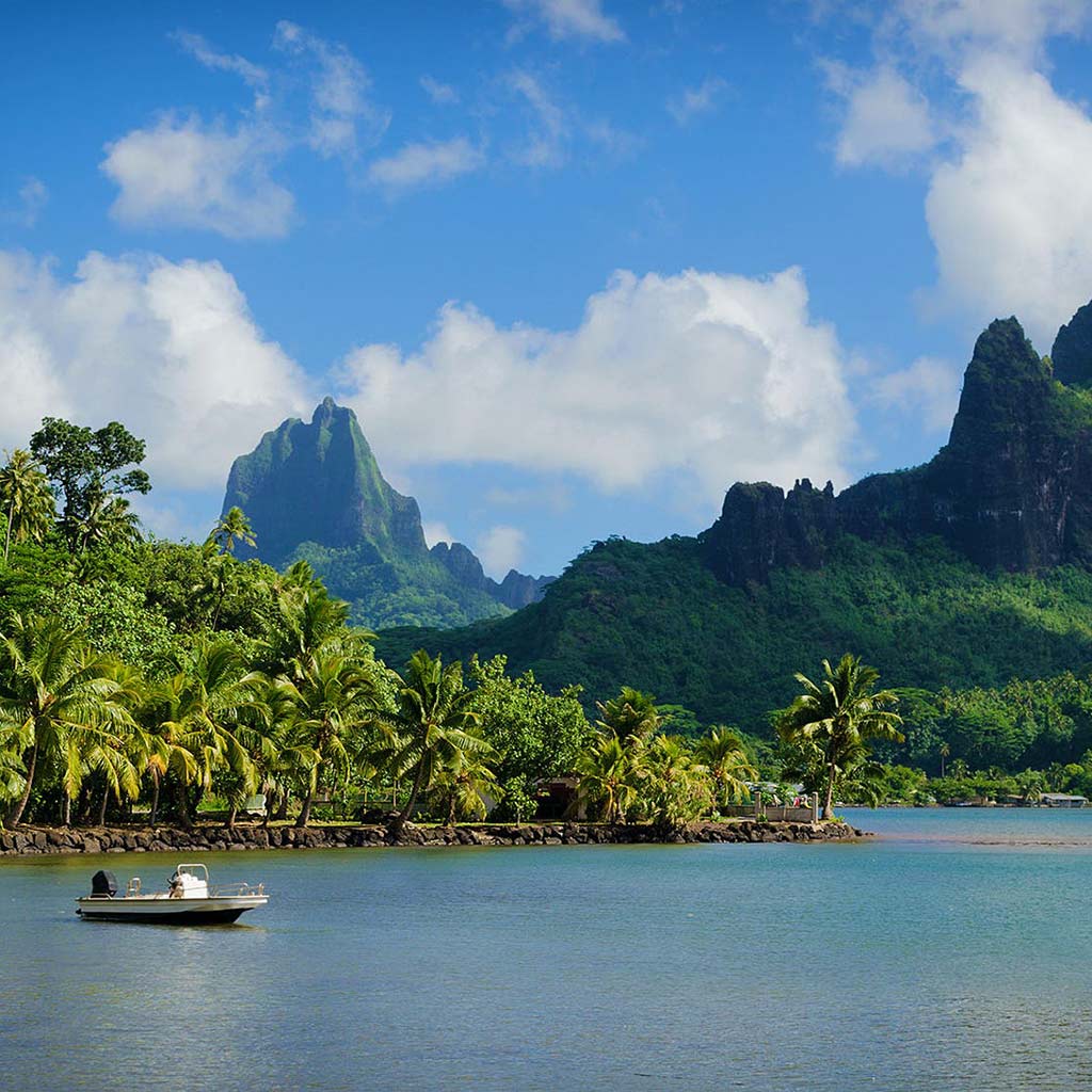 Expedition Cruises Make a Comeback