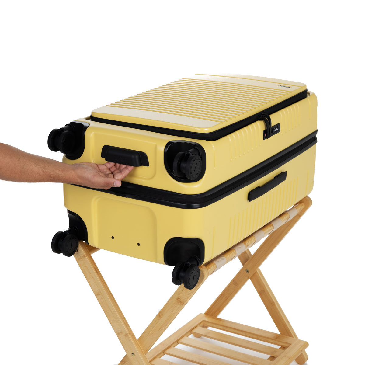 lemon trunk view of bottom handle