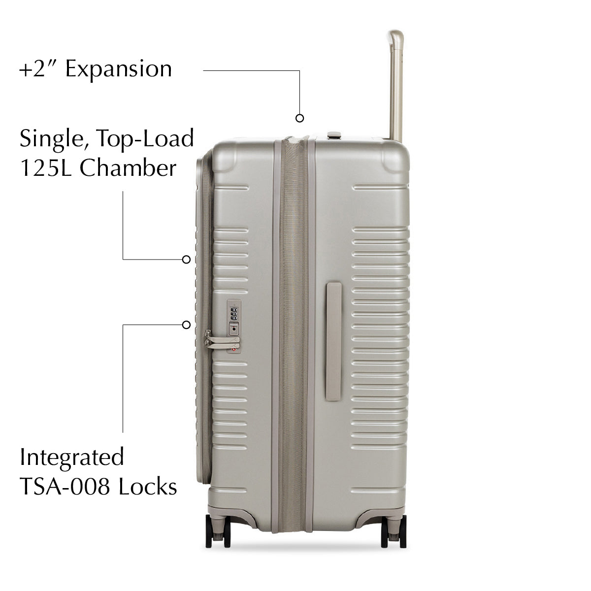 trunk side expansion view - champagne
