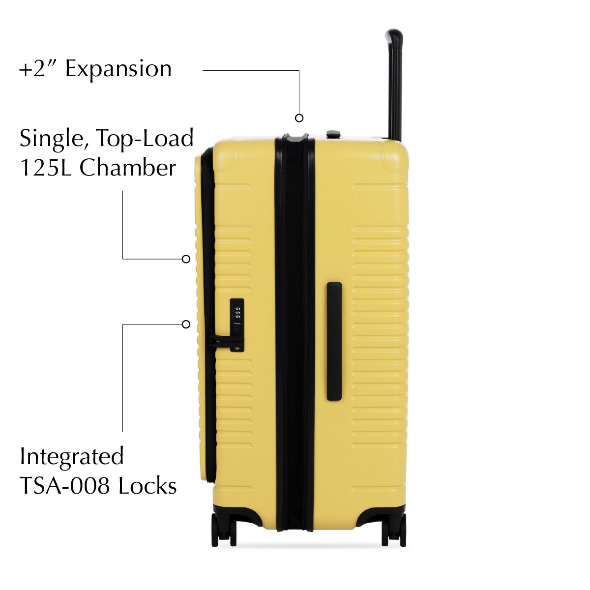 trunk side expansion view - lemon