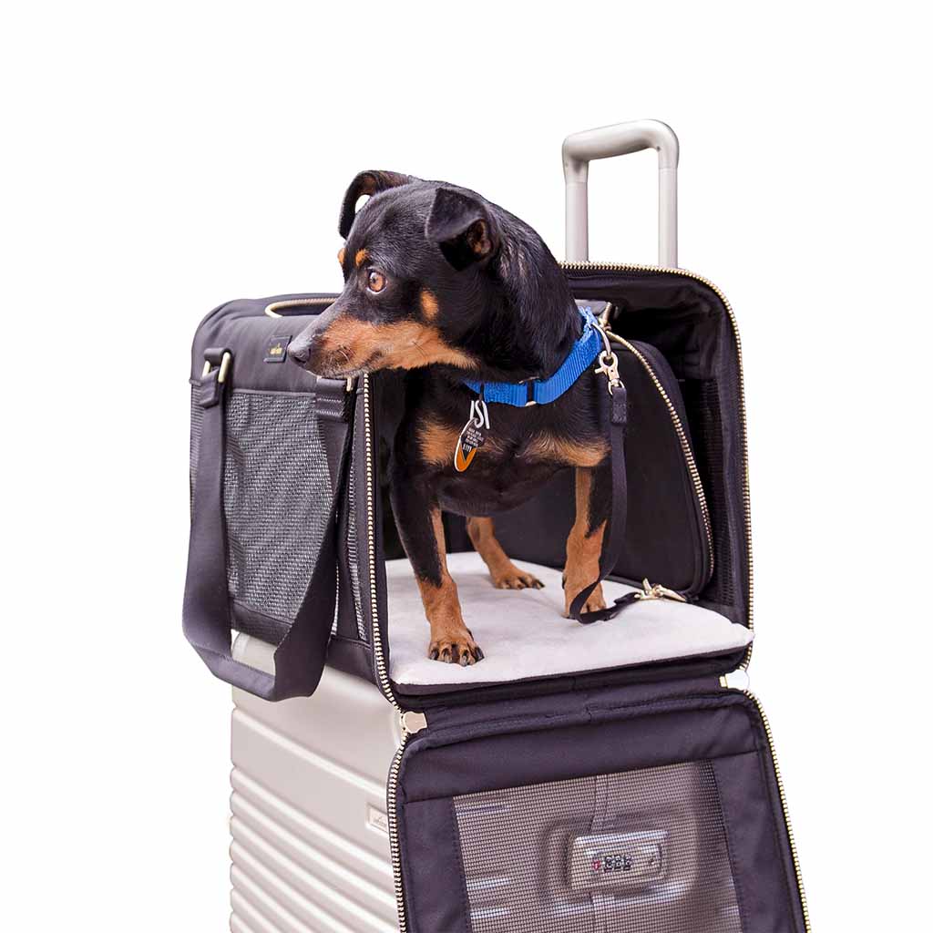 Pet Carrier with right side unzipped