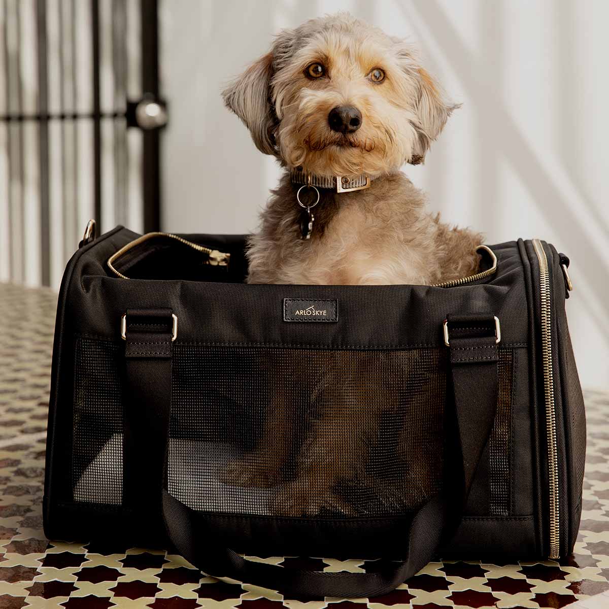 Luxury dog carrier bag hotsell