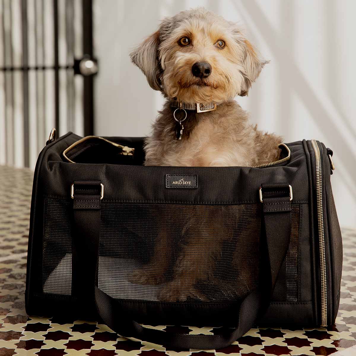 Front view of the pet carrier with dog inside