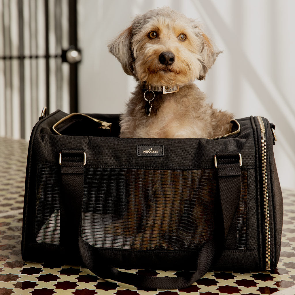 Arlo Skye Pet Carrier Medium Black