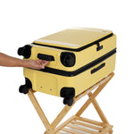 lemon trunk view of bottom handle