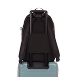 black backpack - back view on carry-on